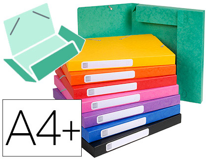 BOTE CLASSEMENT EXACOMPTA NATURE FUTURE CARTE LUSTRE 5/10E A4+ 240X320MM DOS 25MM 400G COLORIS ASSORTIS 25 UNITS