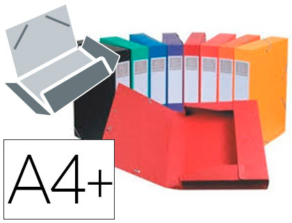 BOTE CLASSEMENT EXACOMPTA NATURE FUTURE CARTE LUSTRE 7/10E A4+ 240X320MM DOS 40MM 600G COLORIS ASSORTIS 10 UNITS