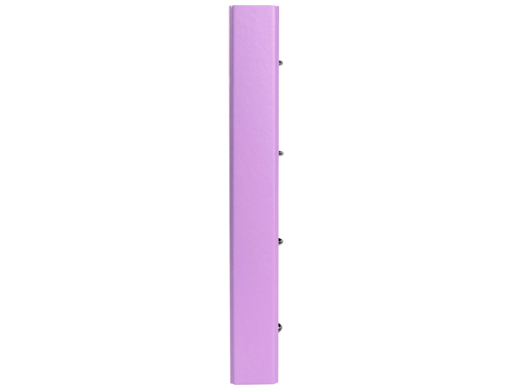 CLASSEUR ANTARTIK 4 ANNEAUX RONDS 40MM A4 CARTON REMBORDÉ FEUILLETS MOBILES Q5X5 COLORISLAVANDE