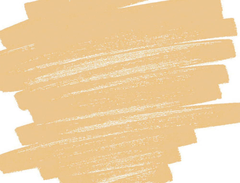 MARQUEUR PEINTURE PILOT PINTOR ENCRE COUVRANTE TOUS SUPPORTS POINTE MOYENNE COLORIS ABRICOT NEON