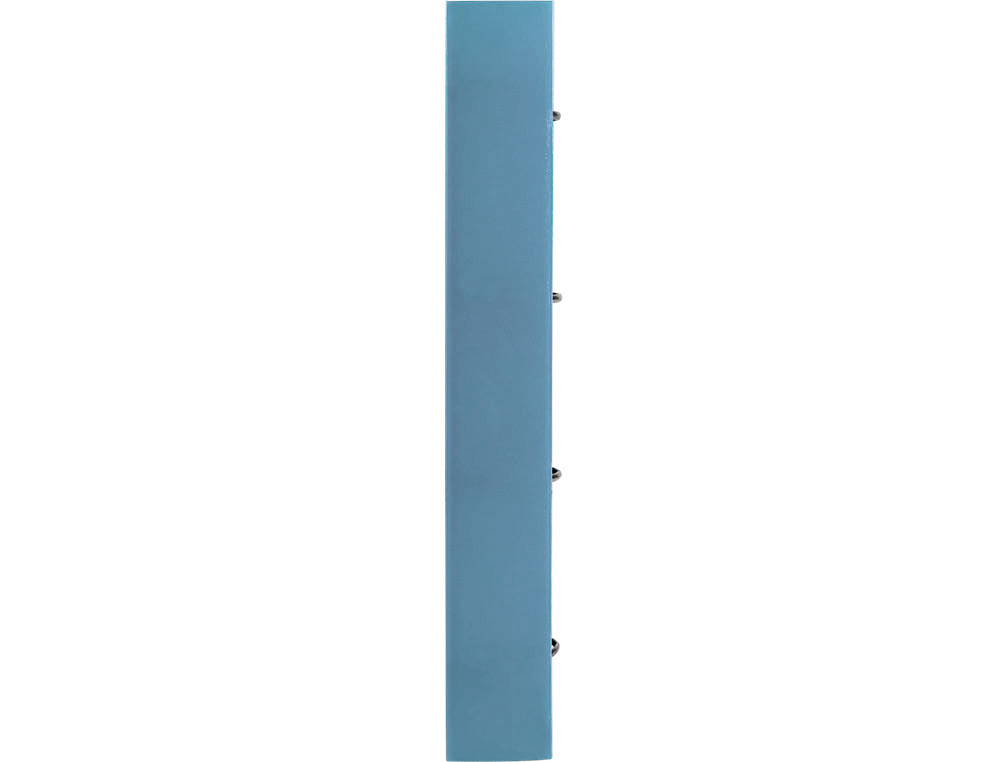 CLASSEUR LIDERPAPEL 4 ANNEAUX EN D 25MM A4 POLYPROPYLENE FEUILLETS MOBILES 100F 5X5MM COLORIS BLEU CIEL