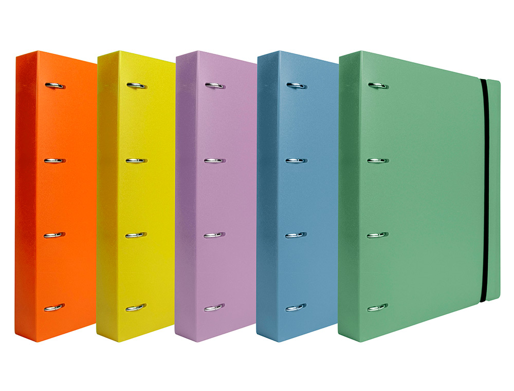 CLASSEUR LIDERPAPEL 4 ANNEAUX EN D 25MM A4 POLYPROPYLENE FEUILLETS MOBILES 100F 5X5MM COLORIS BLEU CIEL