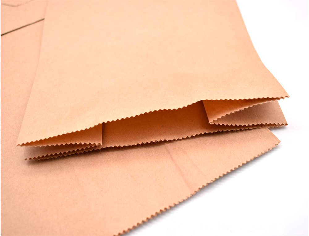 SACHET ALIMENTAIRE KRAFT BRUN 70G/M2 BIODEGRADABLE 24X42X6CM LOT DE 100
