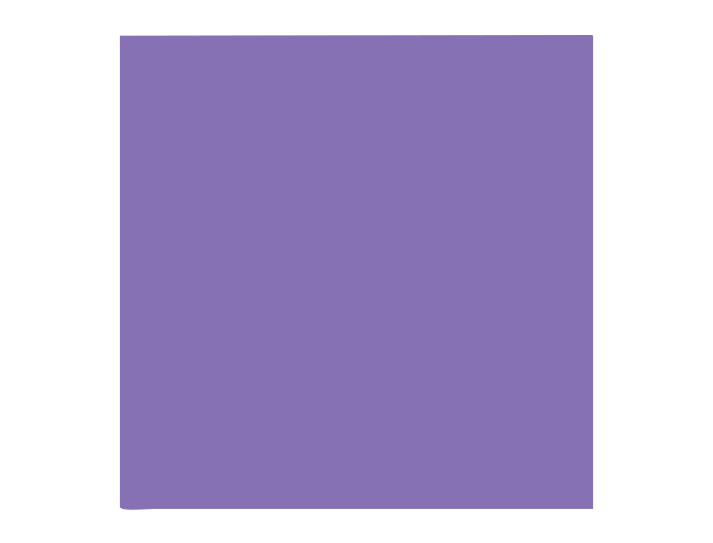 PAPIER CLAIREFONTAINE MULTIFONCTION LASER COULEUR   TROPHE A3 160G/M2 VIOLINE     PARFAITE OPACITE PAQUET 250