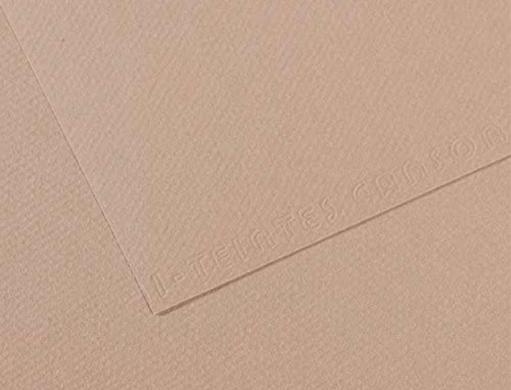 PAPIER DESSIN CANSON FEUILLE MI-TEINTES N 122 GRAIN GELATINE HAUTE TENEUR COTON 160G 50X X65CM UNICOLORE GRIS FLANELLE