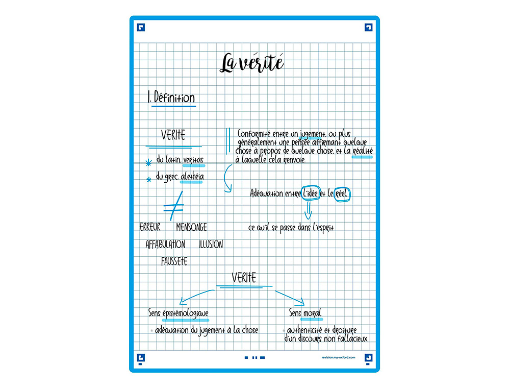 FICHES BRISTOL OXFORS REVISION 2.0 A5 PERFOREE 32 FICHES/FILM Q5X5 CADRE TURQUOISE