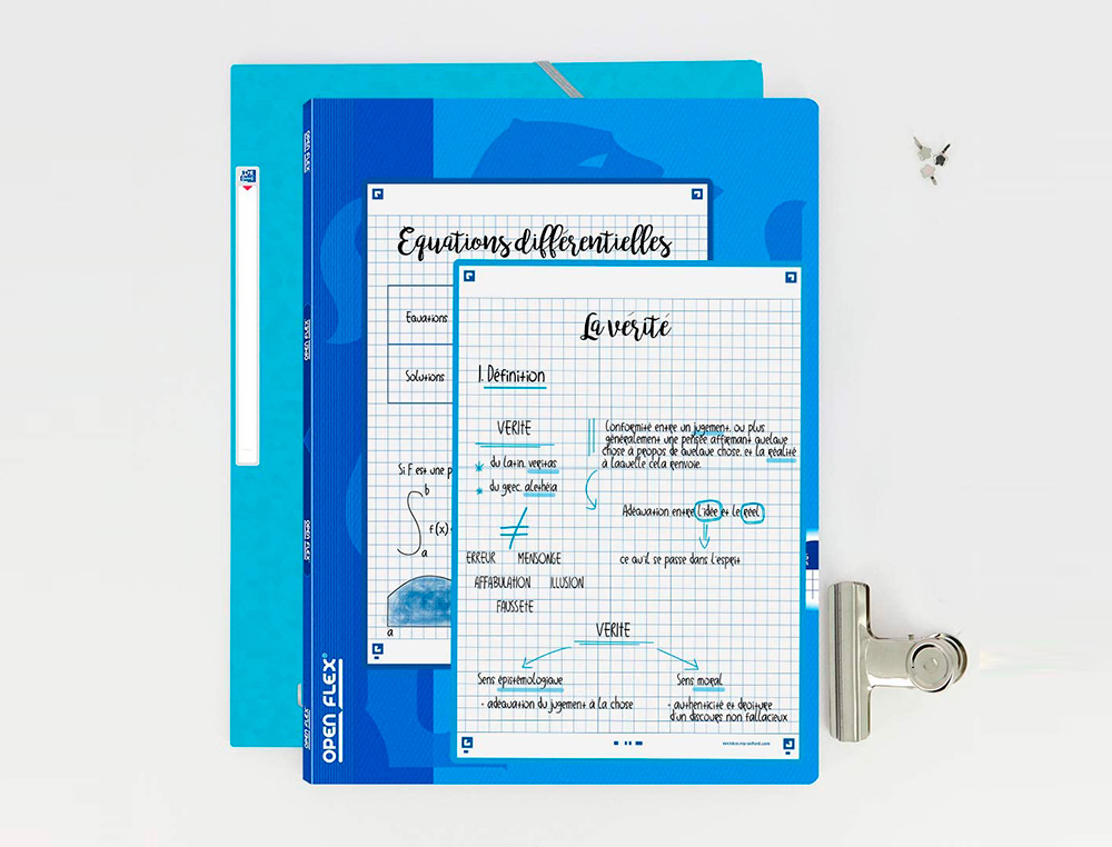 FICHES BRISTOL OXFORS REVISION 2.0 A5 PERFOREE 32 FICHES/FILM Q5X5 CADRE TURQUOISE