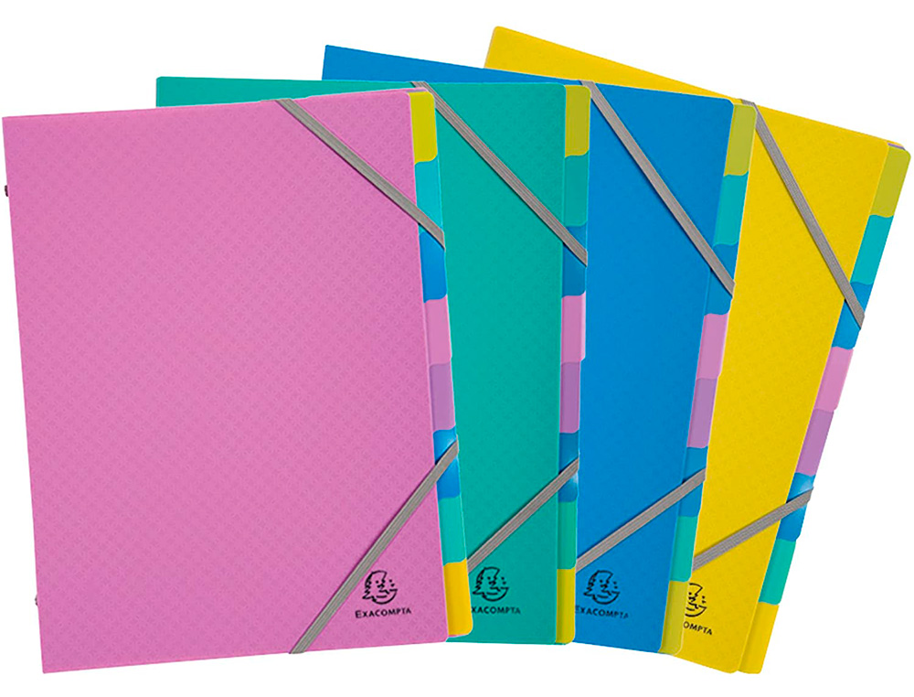 TRIEUR EXACOMPTA POLYPROPYLENE 3 RABATS FOREVER YOUNG 8 COMPARTIMENTS