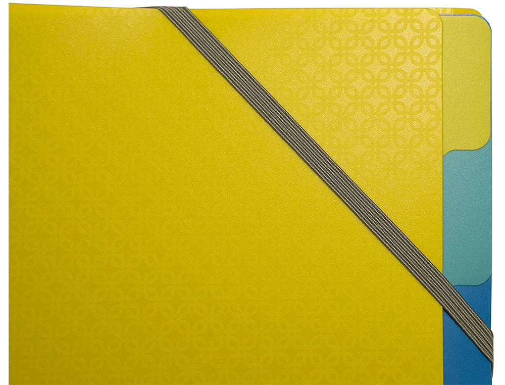 TRIEUR EXACOMPTA POLYPROPYLENE 3 RABATS FOREVER YOUNG 8 COMPARTIMENTS
