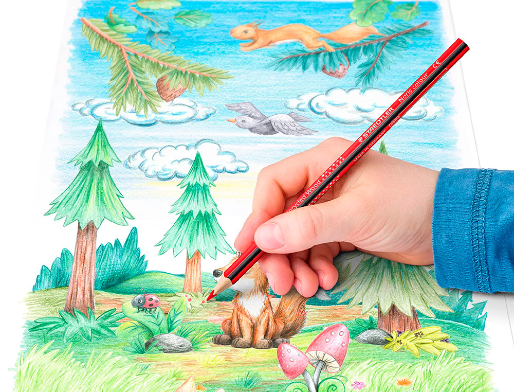 CRAYONS DE COULEUR STAEDTLER NORIS 187 TRIANGULAIRES EN BOIS COLORIS ASSORTIS ETUI DE 24