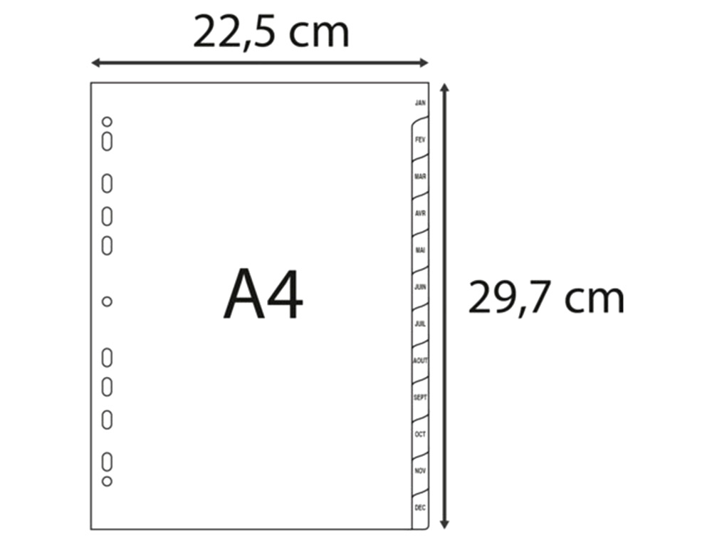 INTERCALAIRES IMPRIMES MENSUELS EXACOMPTA            POLYPROPYLENE A4 12POSITIONES / MOIS GRIS