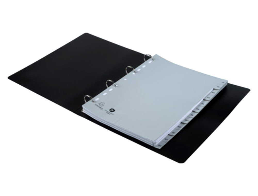 INTERCALAIRES IMPRIMES MENSUELS EXACOMPTA            POLYPROPYLENE A4 12POSITIONES / MOIS GRIS
