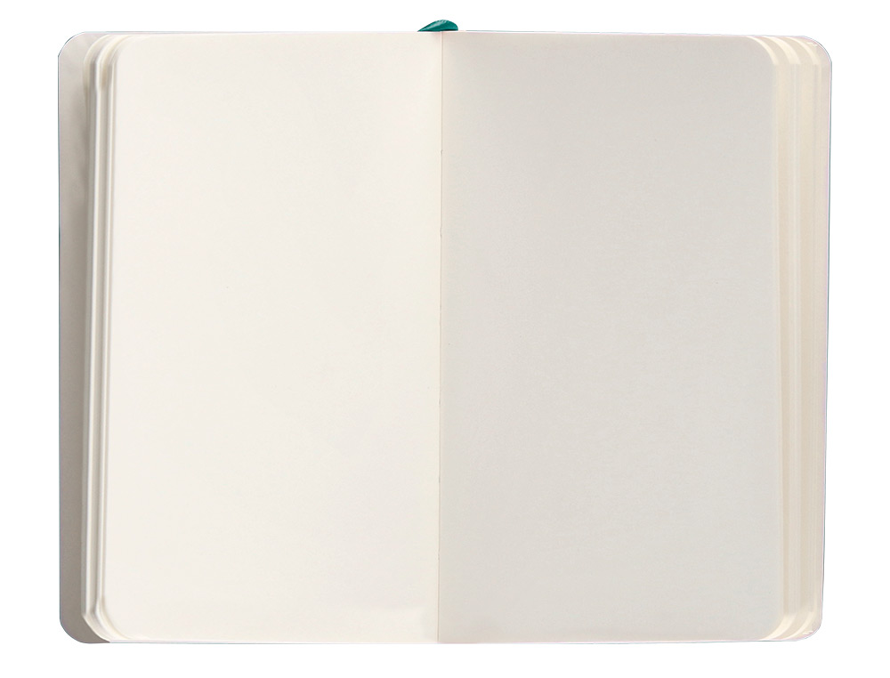 CARNET A6 ANTARTIK NOTES PAPIER UNI IVOIRE COUVERTURE SOUPLE FERMETURE ELASTIQUE 100PAGES 80GR COLORIS VERT PAON