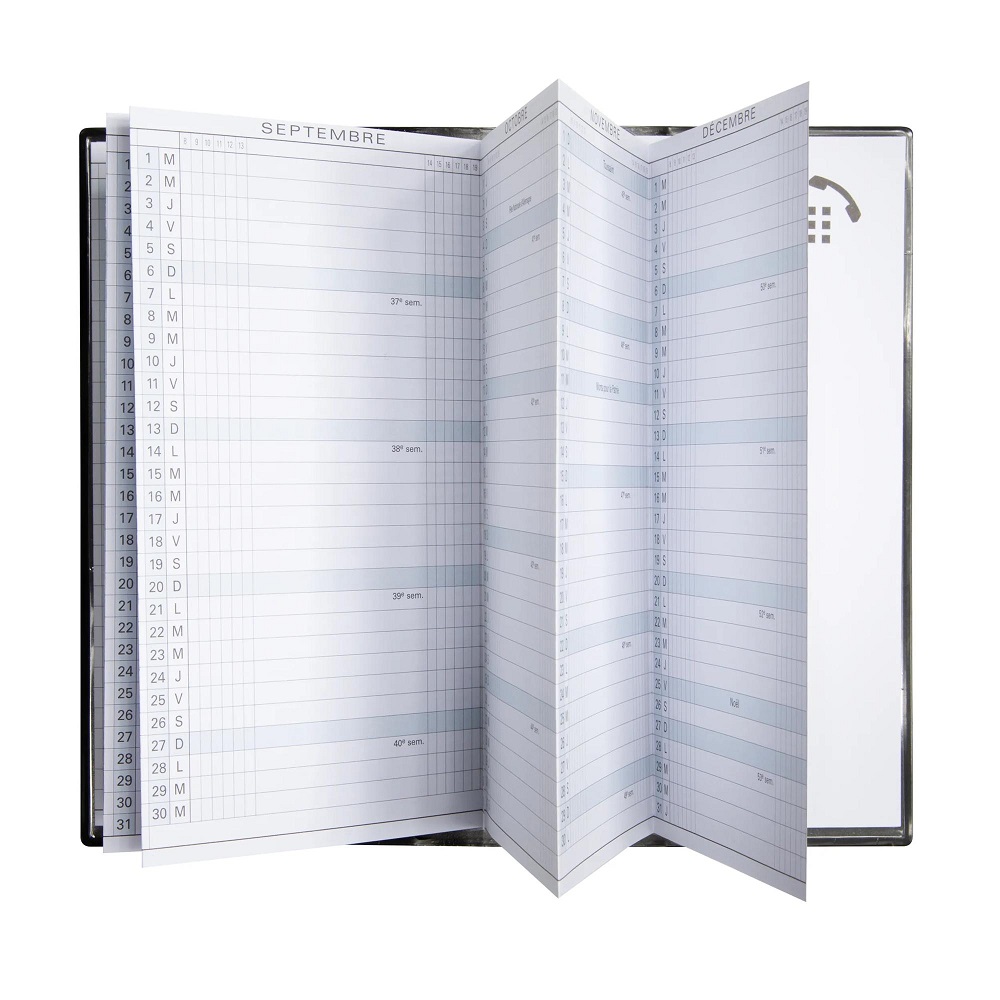 AGENDA EXACOMPTA PLANNING EXAPLAN 16 WINNER PLIAGE EN ACCORDON 90X160MM COLORIS ASSORTIS