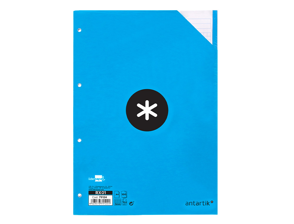 FEUILLET MOBILE LIDERPAPEL ANTARTIK A4 100 FEUILLES 100G QUADRILLAGE 5MM 4 TROUS BANDES DE 5 COULEURS