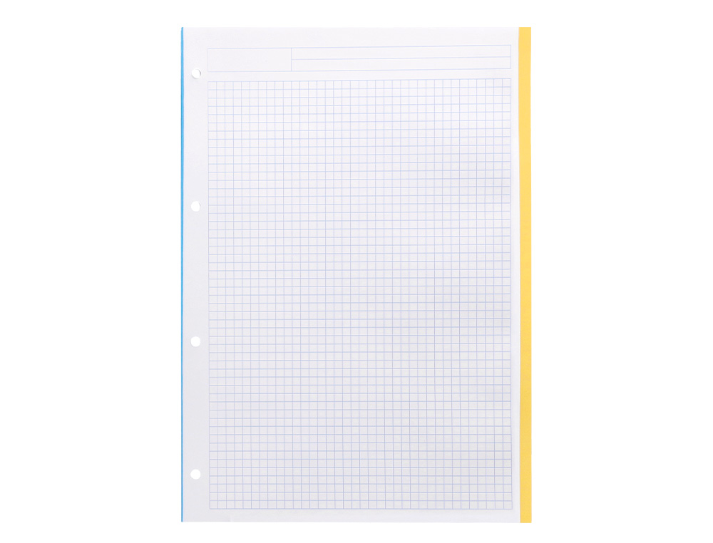 FEUILLET MOBILE LIDERPAPEL ANTARTIK A4 100 FEUILLES 100G QUADRILLAGE 5MM 4 TROUS BANDES DE 5 COULEURS