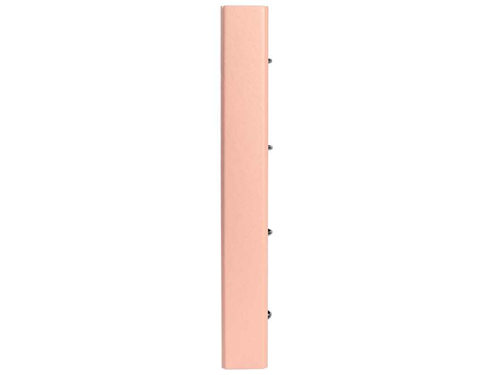 CLASSEUR ANTARTIK TRENDING TOPIC 2020 4 ANNEAUX RONDS 40MM FEUILLET MOBILE A4 5X5MM COLORIS CORAIL