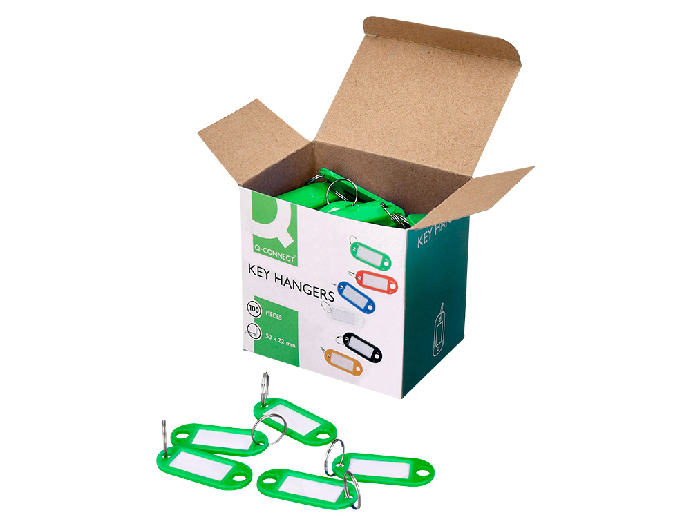 PORTE-CLÉS Q-CONNECT PORTE-ÉTIQUETTE PLASTIQUE 50X22MM COLORIS VERT PRÉSENTOIR 100 UNITÉS