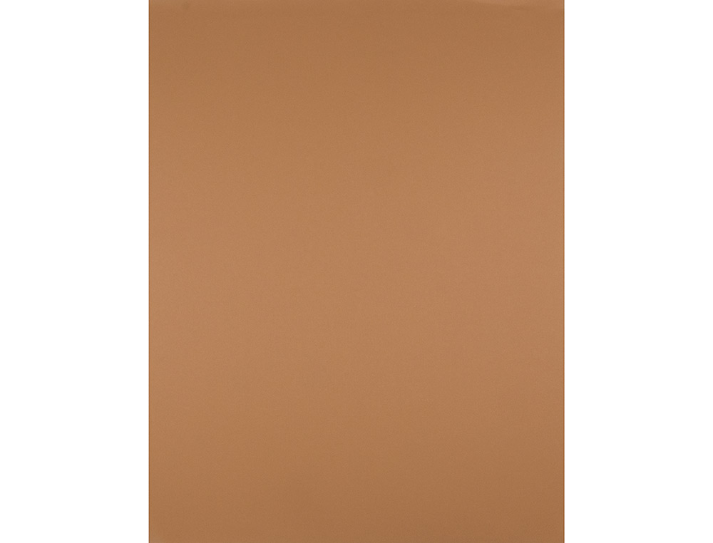 PAPIER CARTONNE LIDERPAPEL 50X65CM 240GR COLORIS MARRON  CLAIR PAQUET 25 FEUILLES