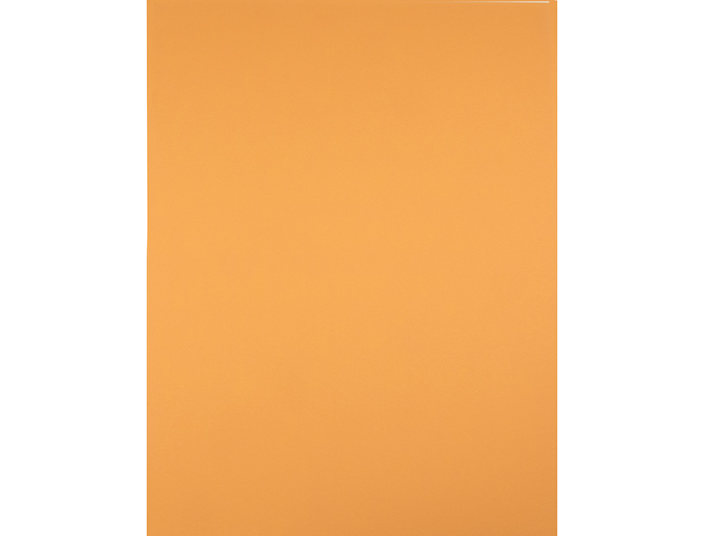 PAPIER CARTONNE LIDERPAPEL 50X65CM 180GR COLORIS NOISETTE