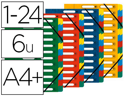TRIEUR EXACOMPTA HARMONIKA CARTE LUSTRE 5.5/10E A4+ 24 COMPARTIMENTS  FENTRES LASTIQUES DOS EXTENSIBLE