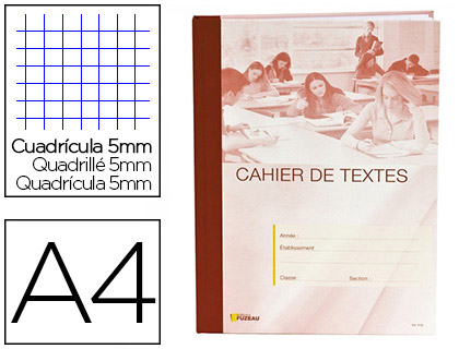 CAHIER TEXTES DITIONS FUZEAU POUR ENSEIGNANTS COUVERTURE CARTONNE LISTE DISCIPLINES A4 21X29,7CM 5X5MM 232 PAGES